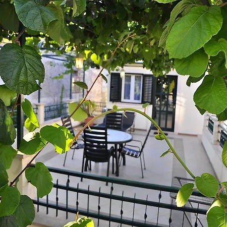 Bakica