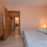 Bakica 4*